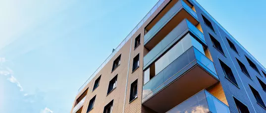 Real Estate Litigation 101